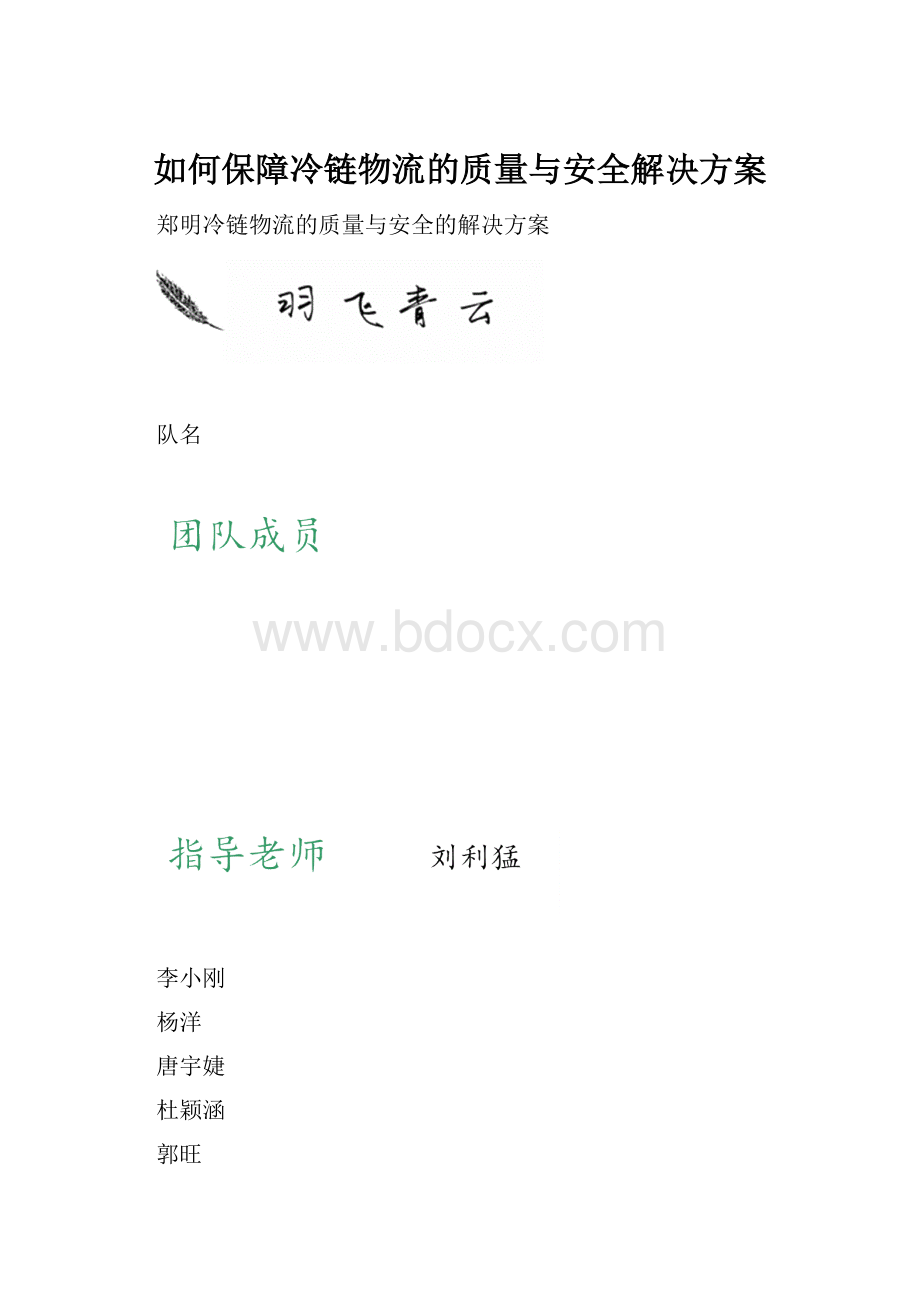 如何保障冷链物流的质量与安全解决方案.docx