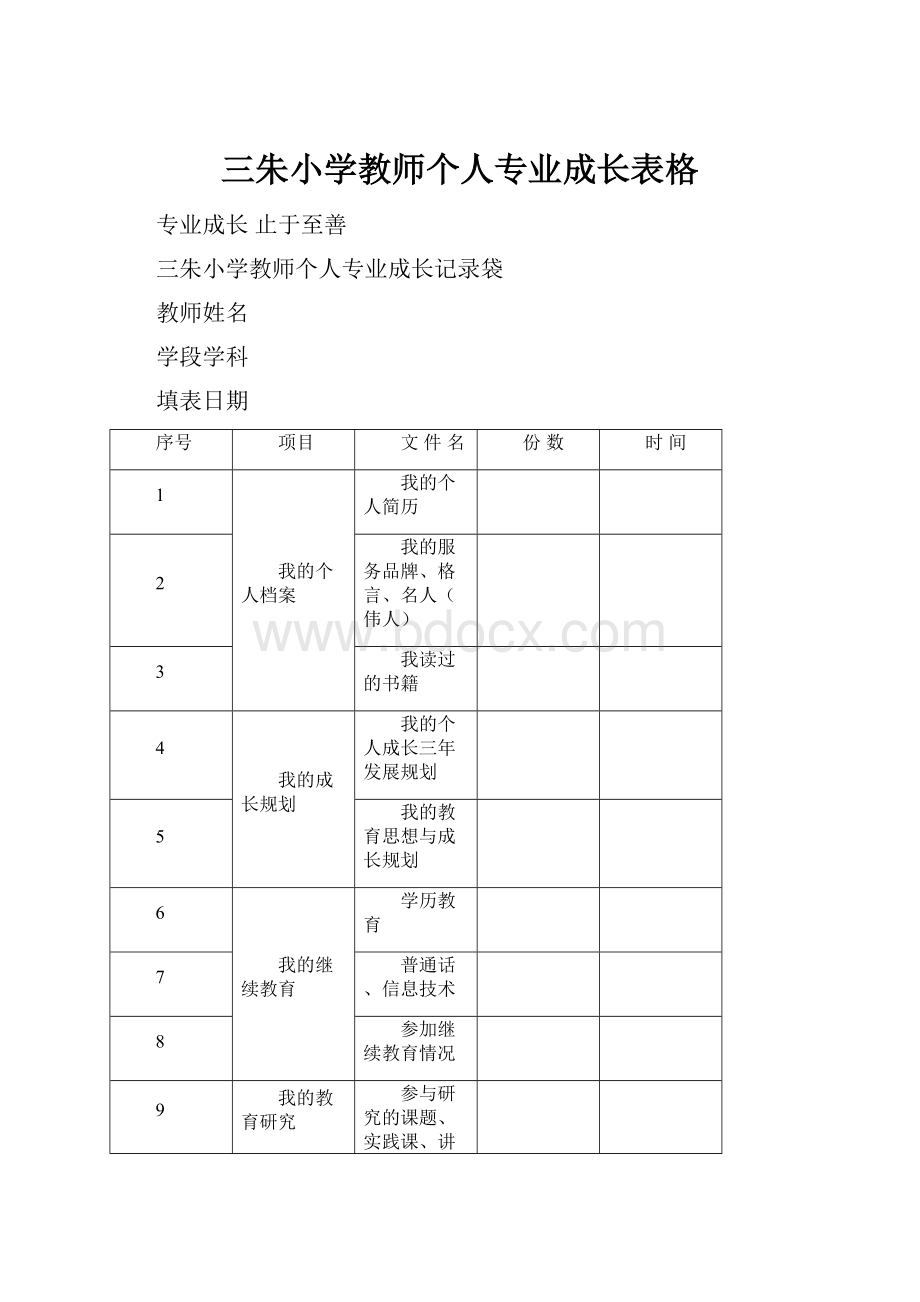 三朱小学教师个人专业成长表格.docx