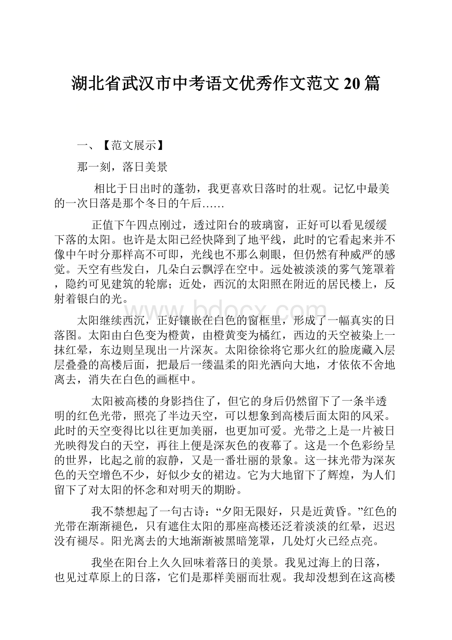 湖北省武汉市中考语文优秀作文范文20篇.docx