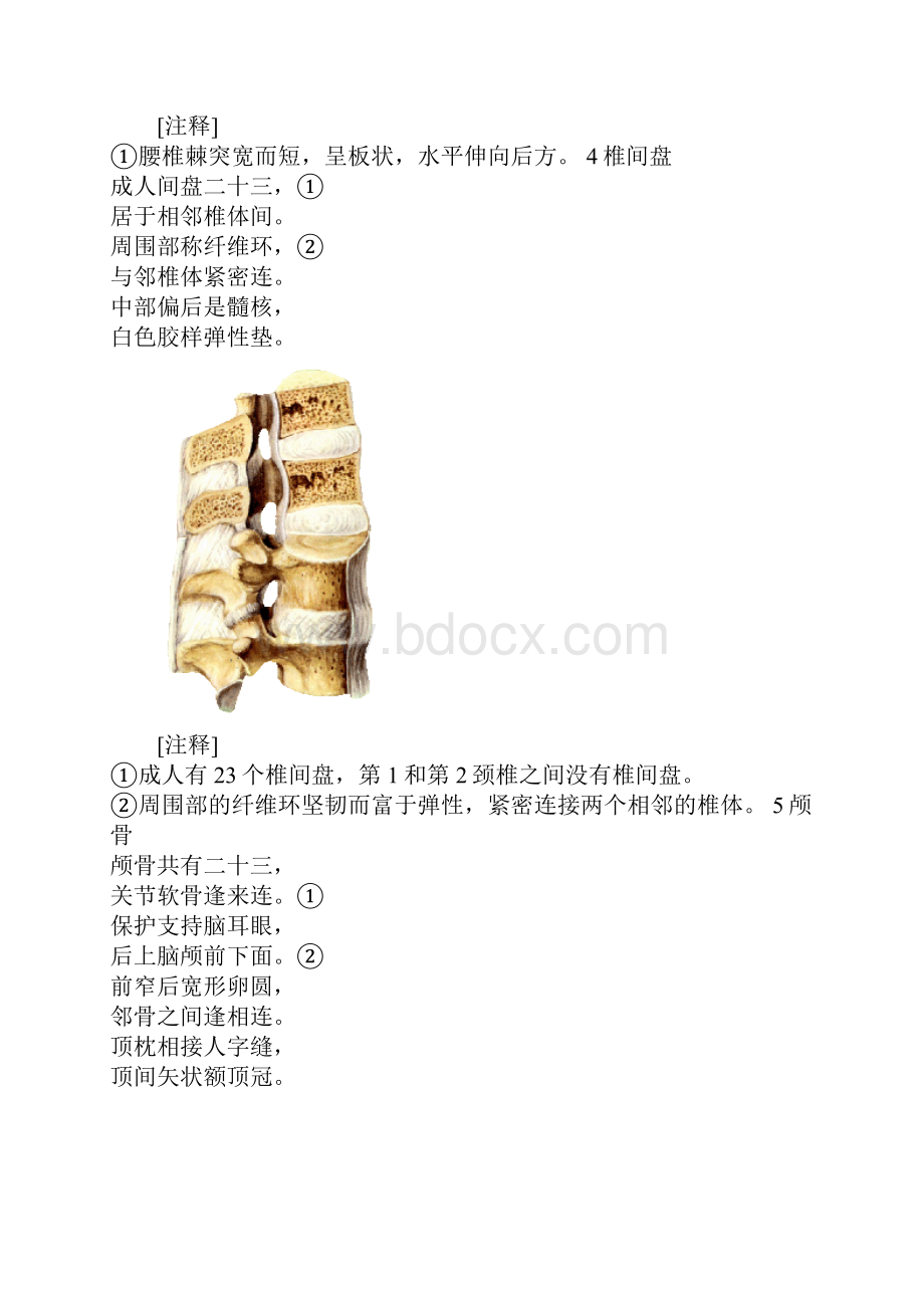 系统解剖快速记忆歌诀.docx_第3页