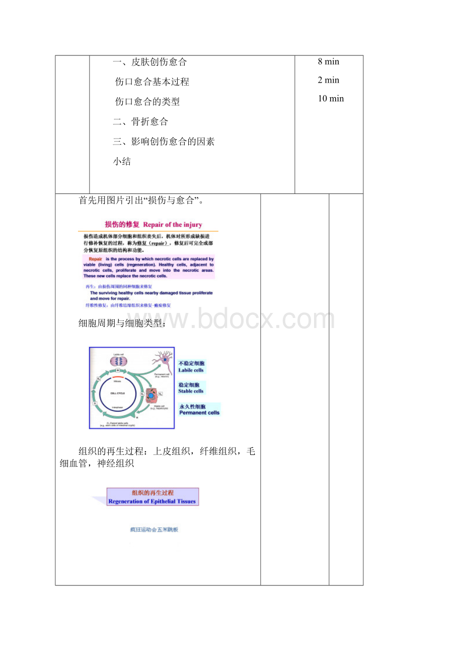 教案样表吉林大学基础医学院.docx_第2页