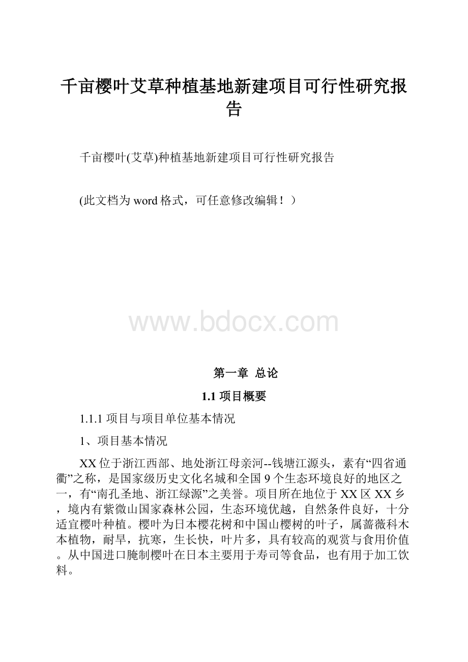 千亩樱叶艾草种植基地新建项目可行性研究报告.docx