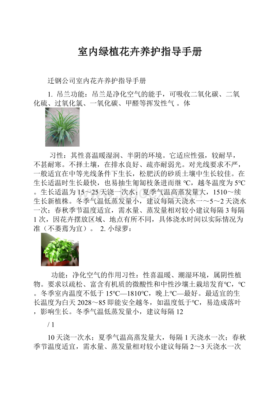 室内绿植花卉养护指导手册.docx