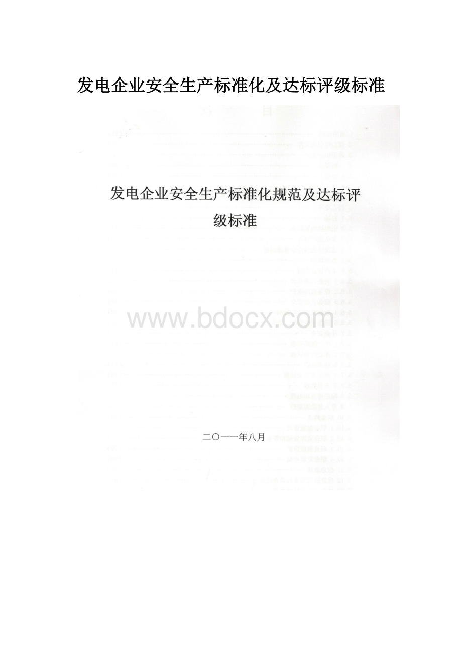 发电企业安全生产标准化及达标评级标准.docx