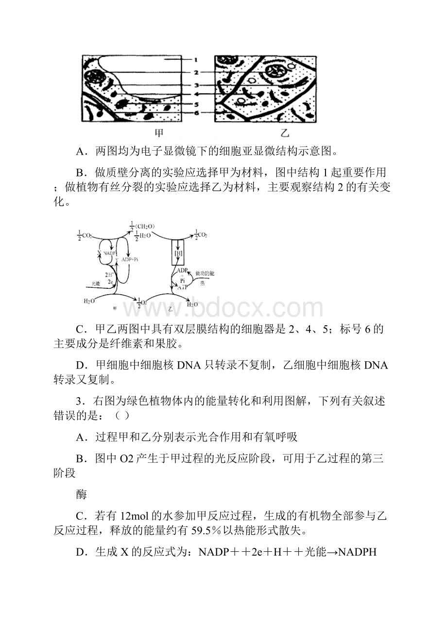 湖北省八校届高三第一次联考试题理科综合能力测试.docx_第2页