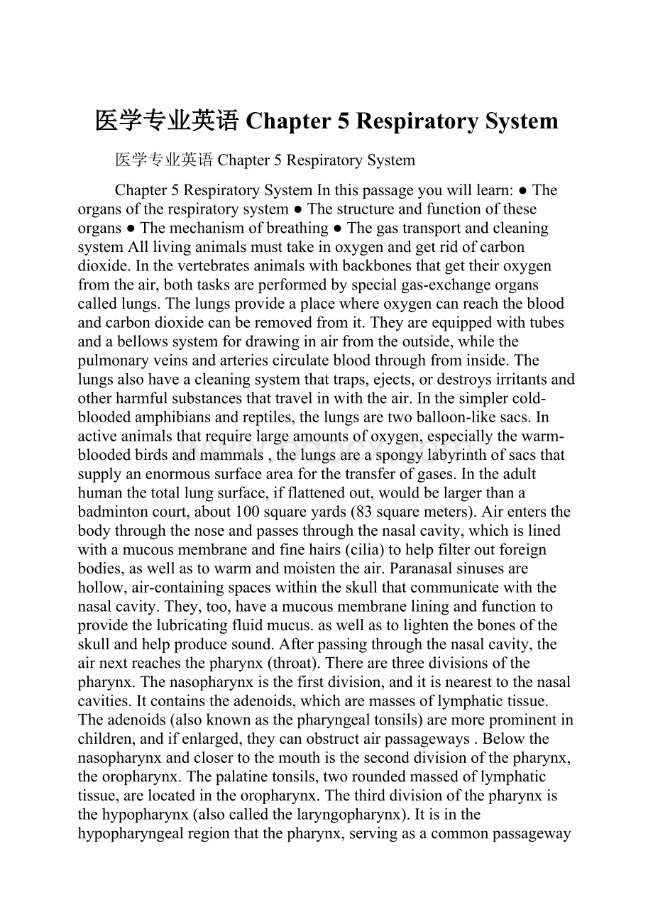 医学专业英语 Chapter 5 Respiratory System.docx