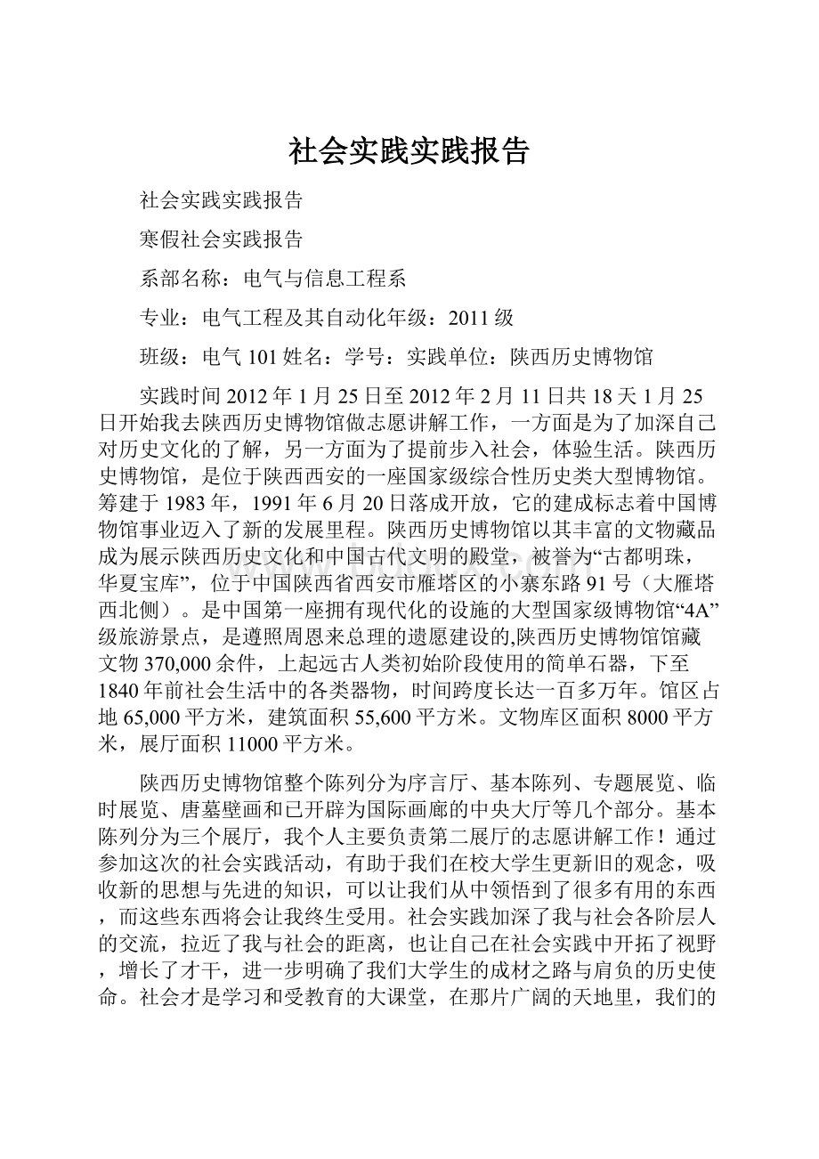 社会实践实践报告.docx_第1页