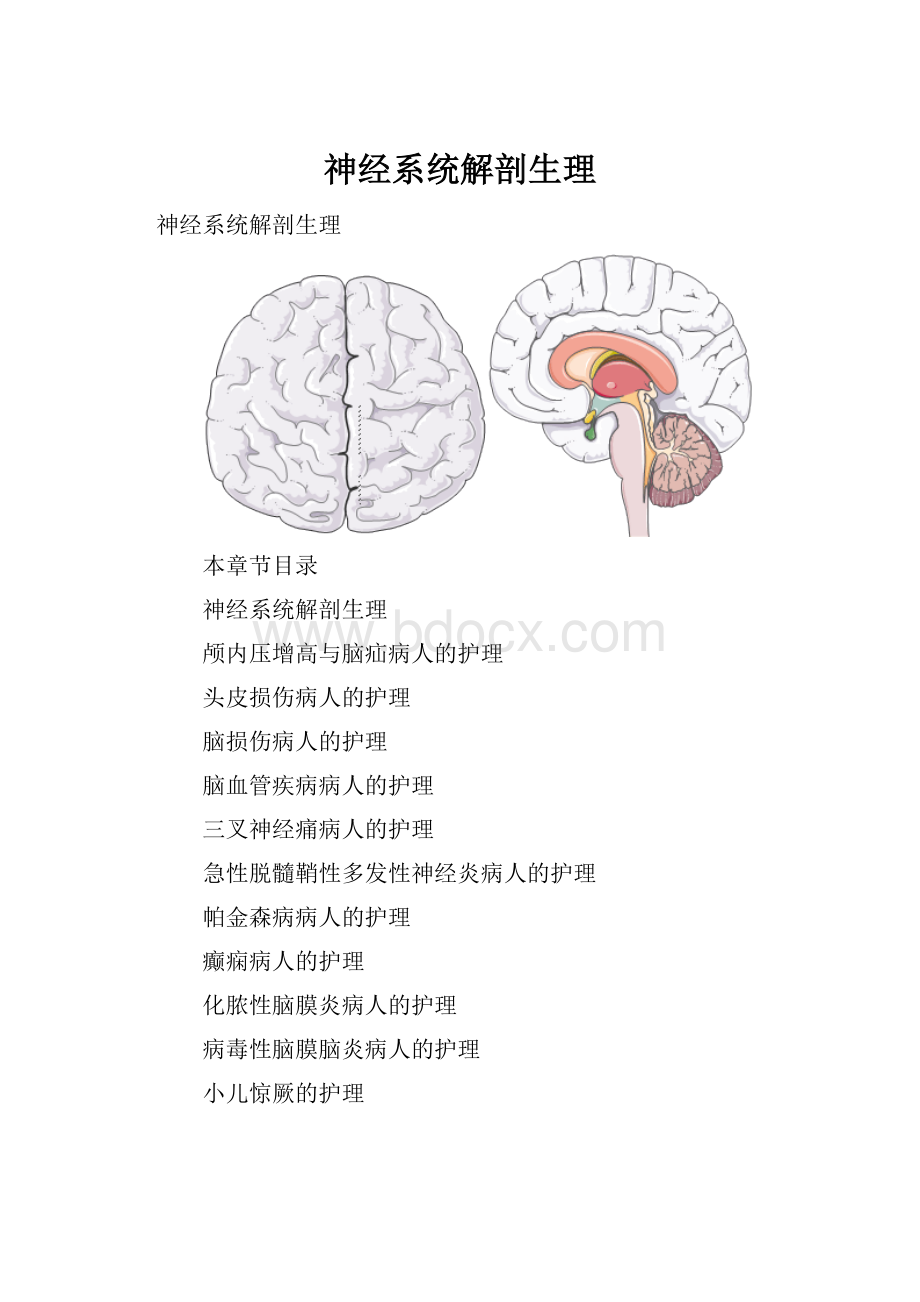 神经系统解剖生理.docx_第1页