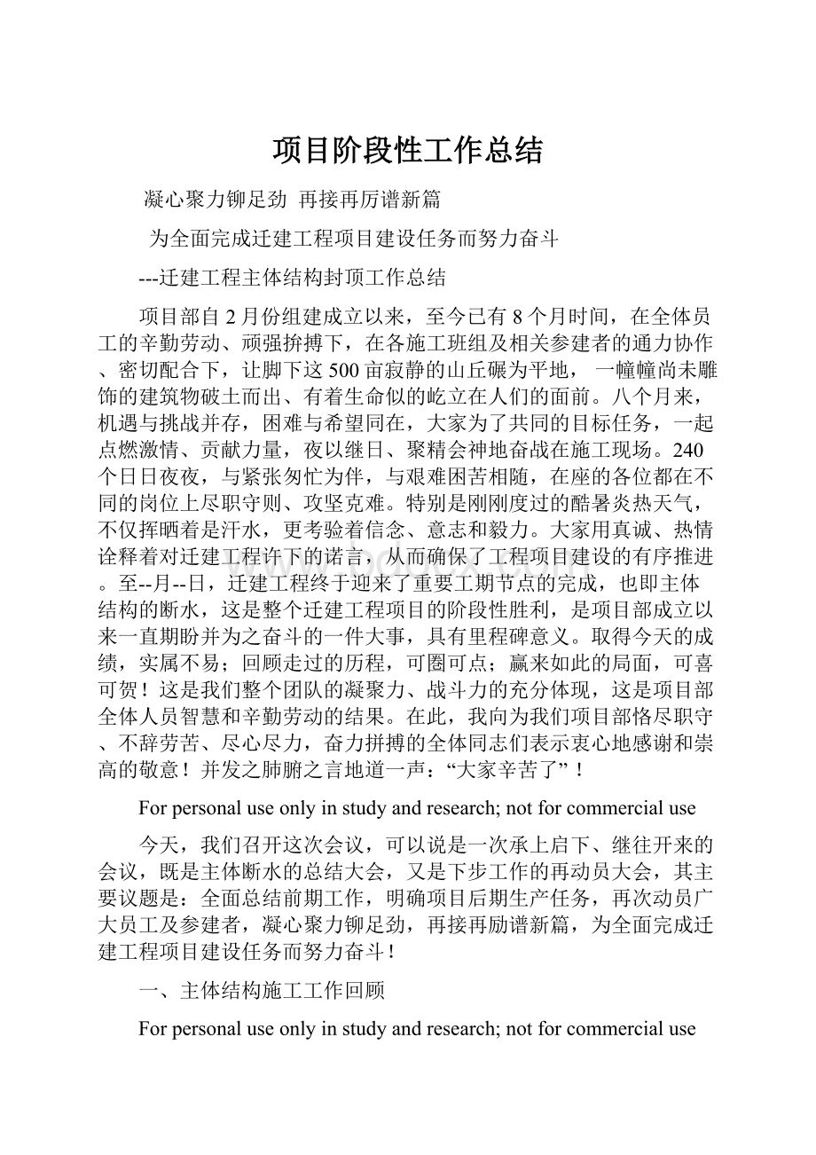 项目阶段性工作总结.docx