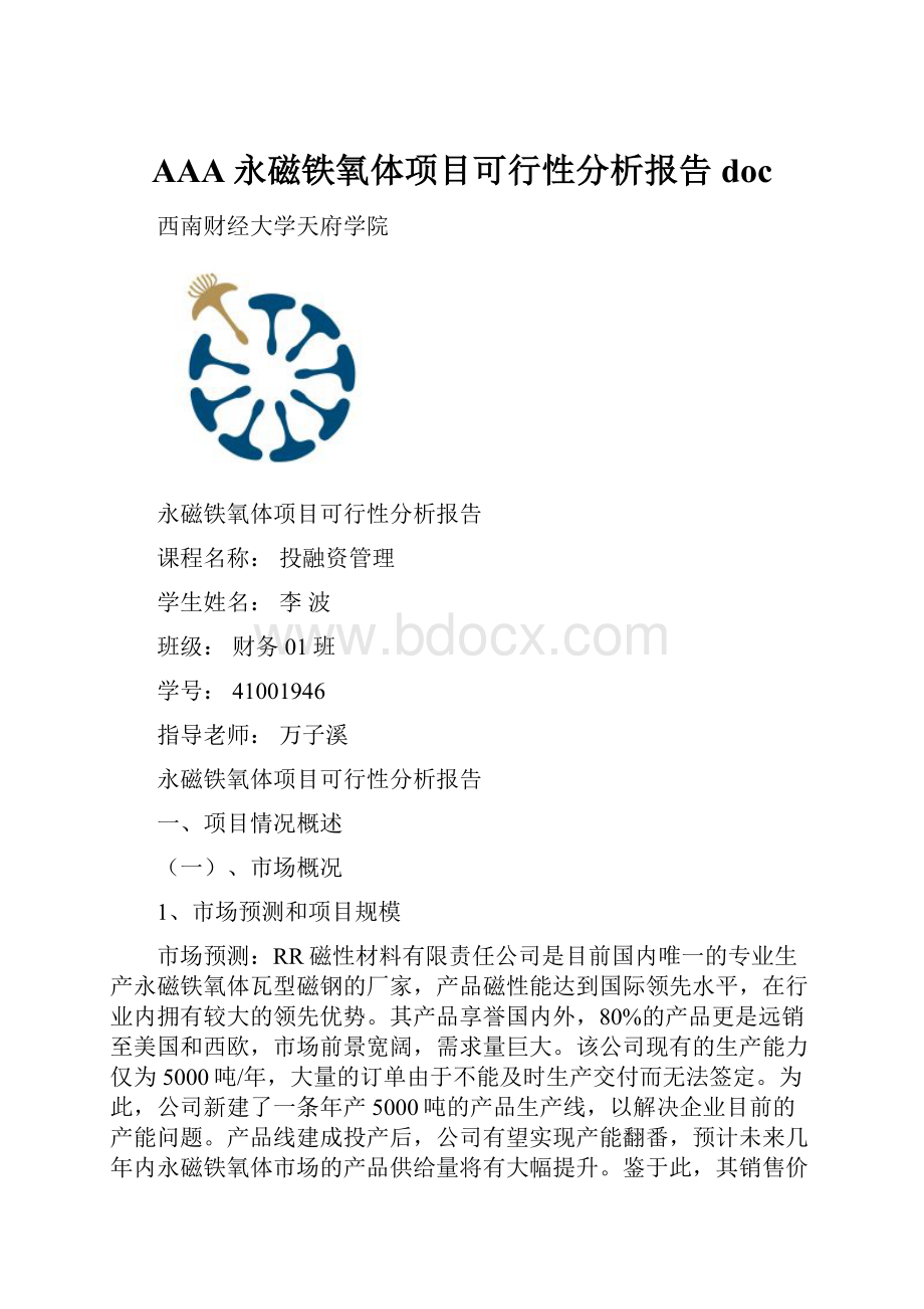 AAA永磁铁氧体项目可行性分析报告doc.docx