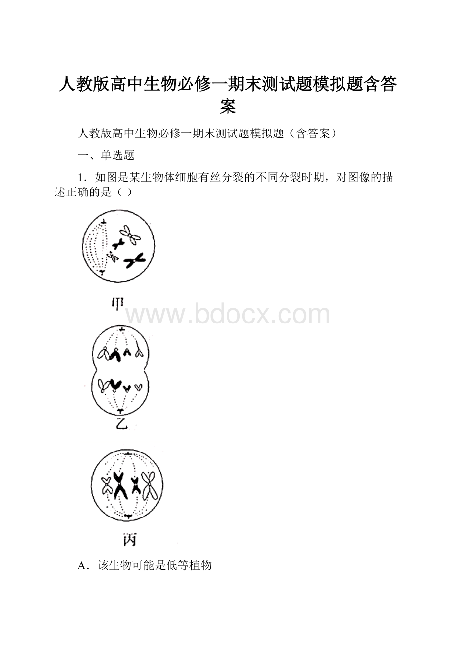 人教版高中生物必修一期末测试题模拟题含答案.docx