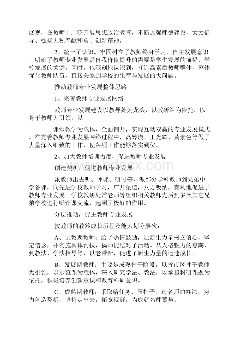 学校教师专业发展工作总结.docx_第2页