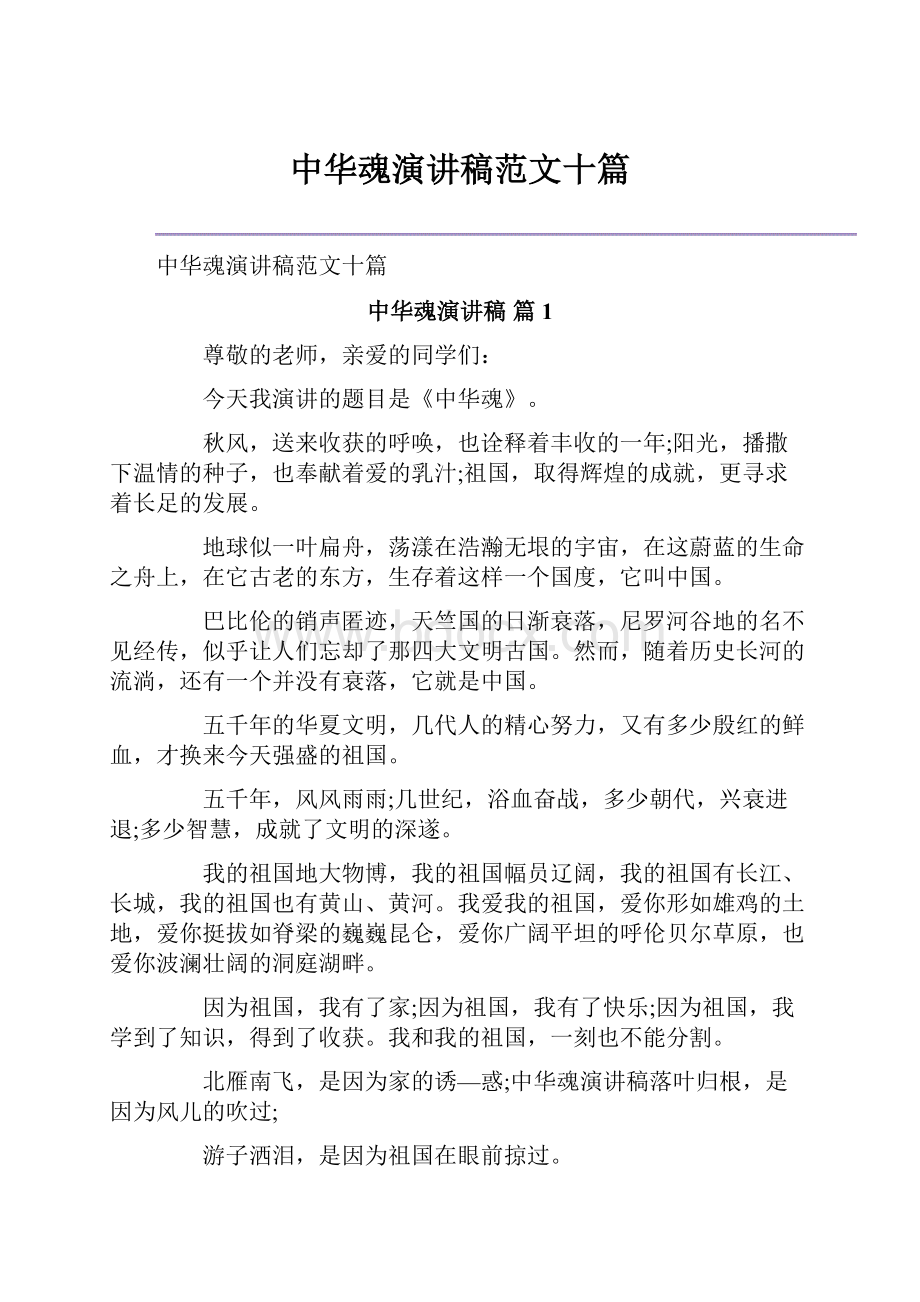 中华魂演讲稿范文十篇.docx_第1页