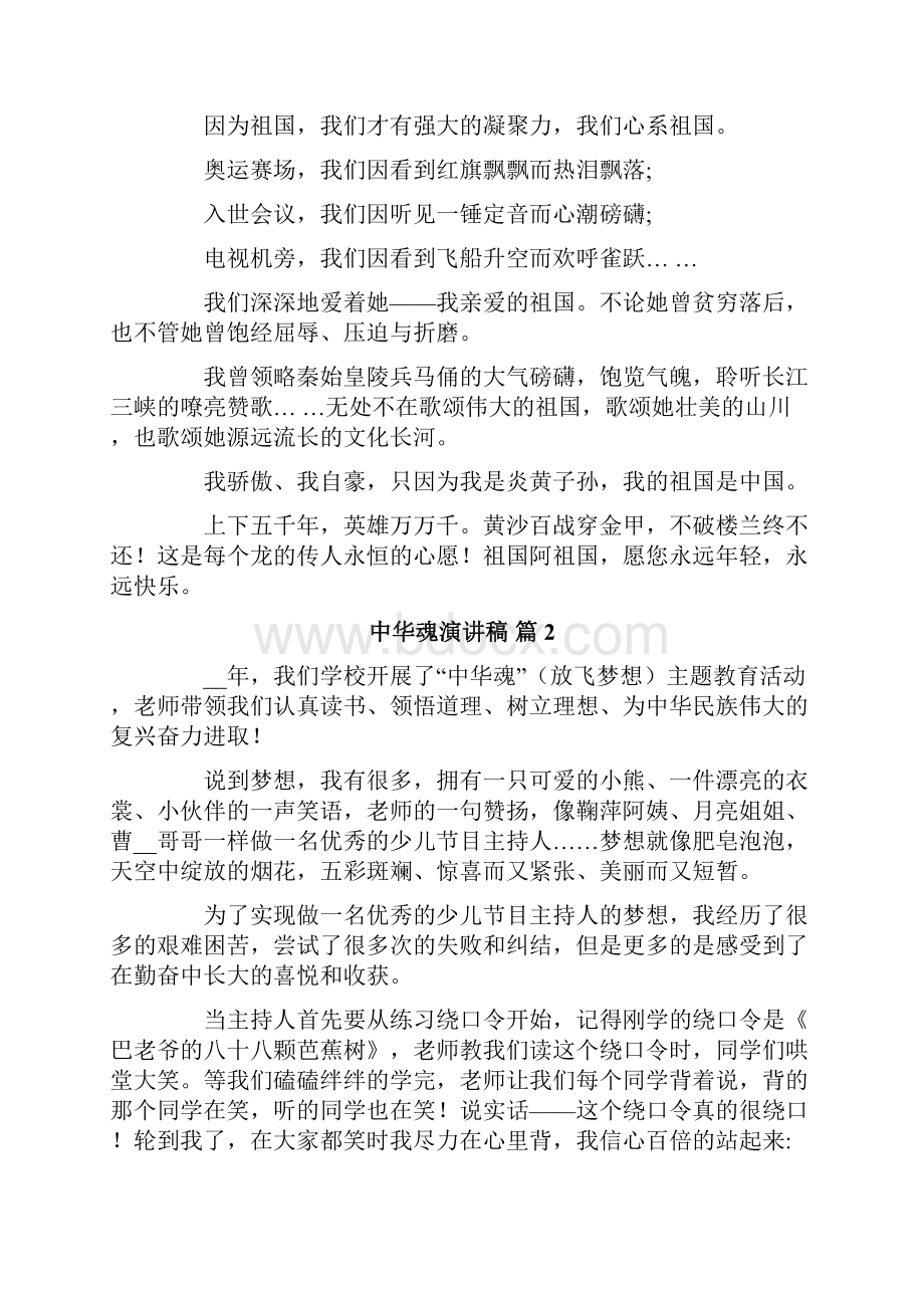 中华魂演讲稿范文十篇.docx_第2页