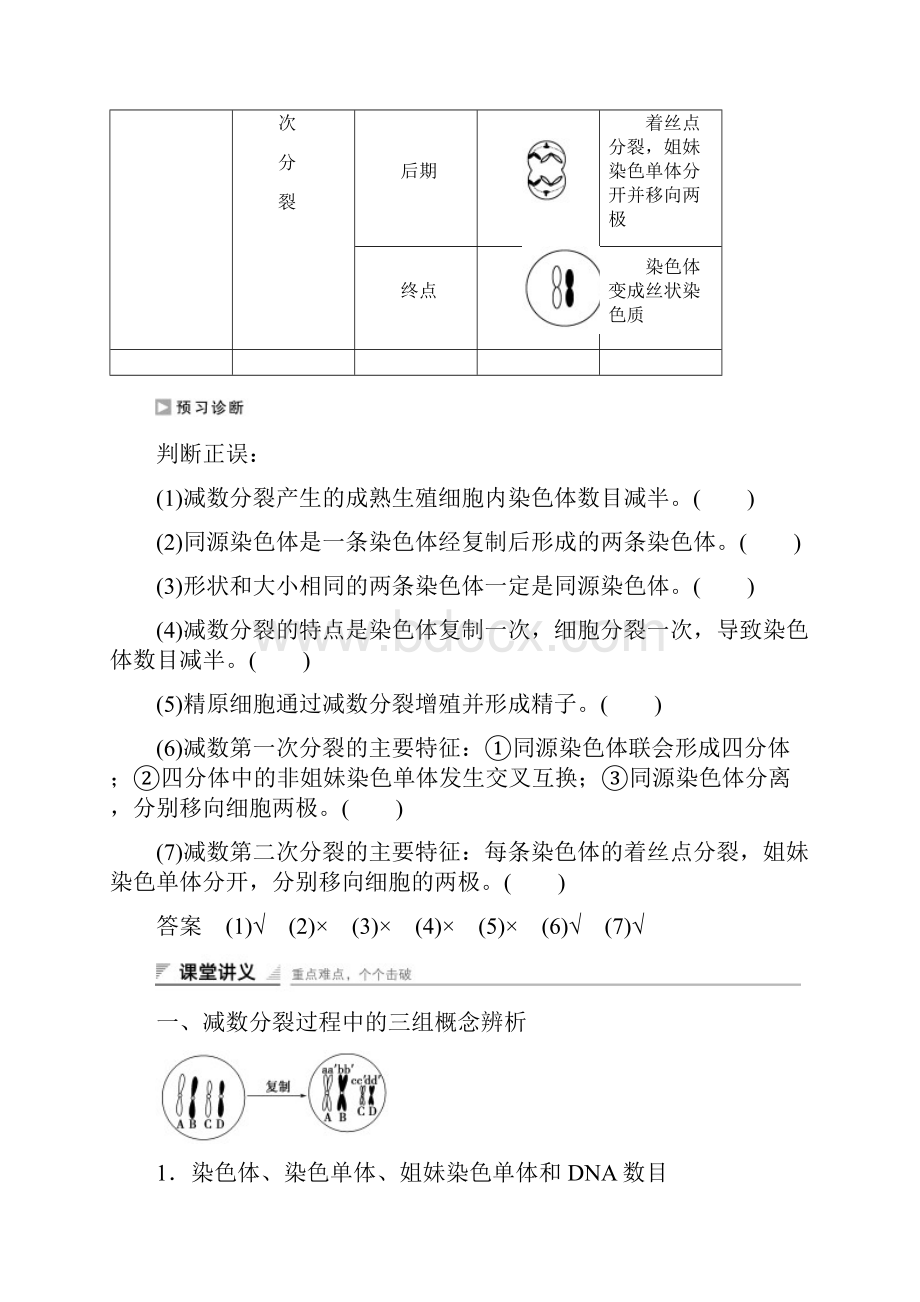 高中生物 第2章 第1节 减数分裂和受精作用课时作业1 新人教版必修2.docx_第3页