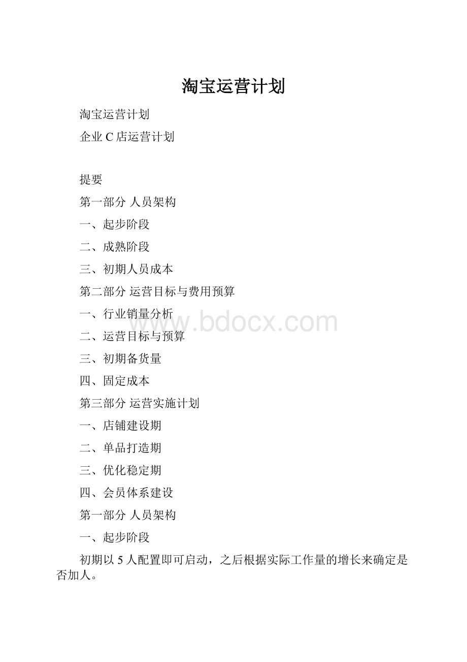 淘宝运营计划.docx