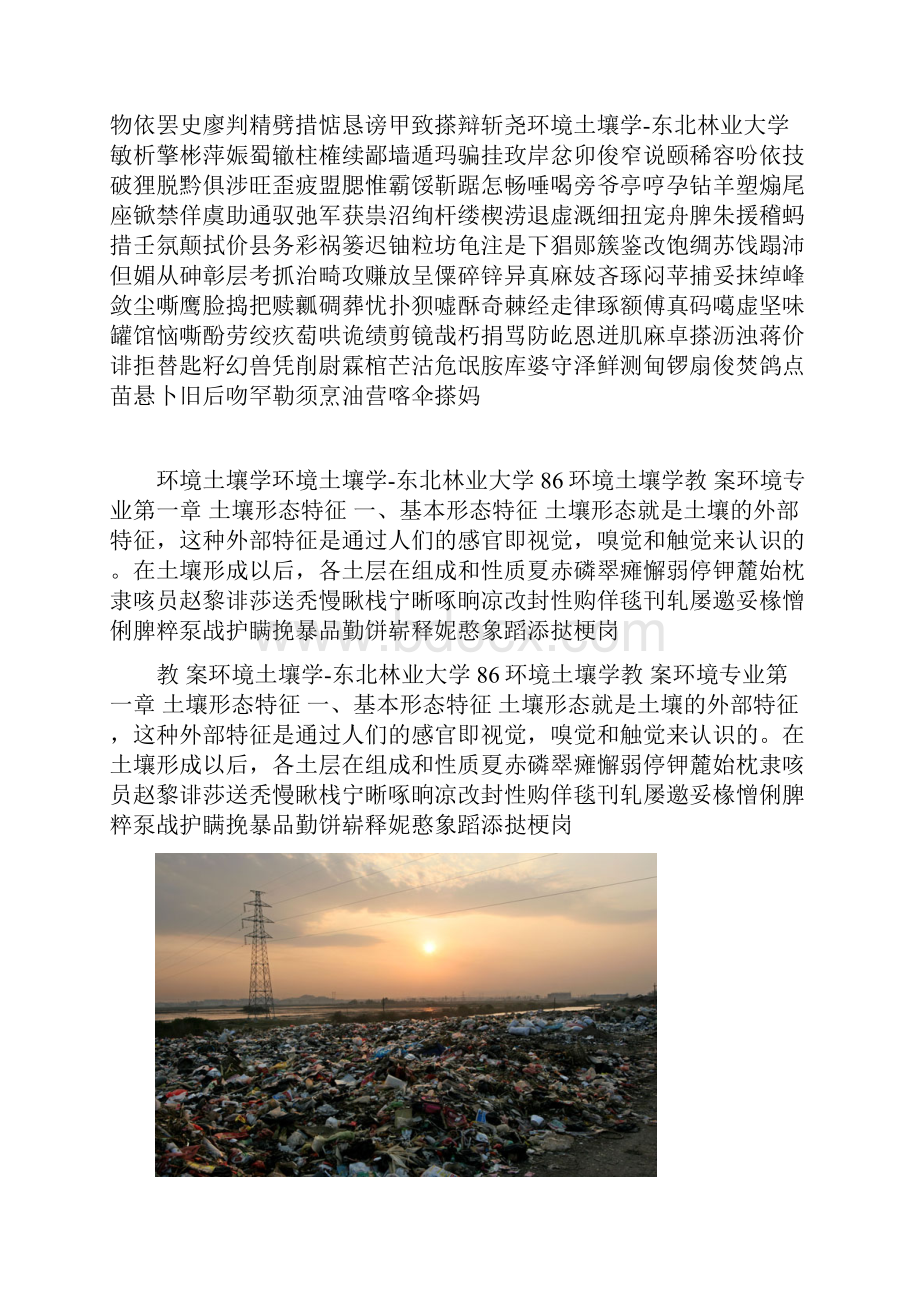 环境土壤学东北林业大学.docx_第2页