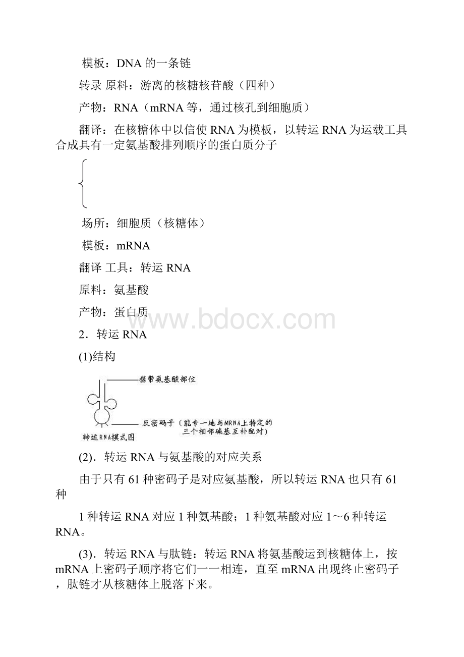 09年南京高三生物二轮复习遗传的分子基础教案2.docx_第2页