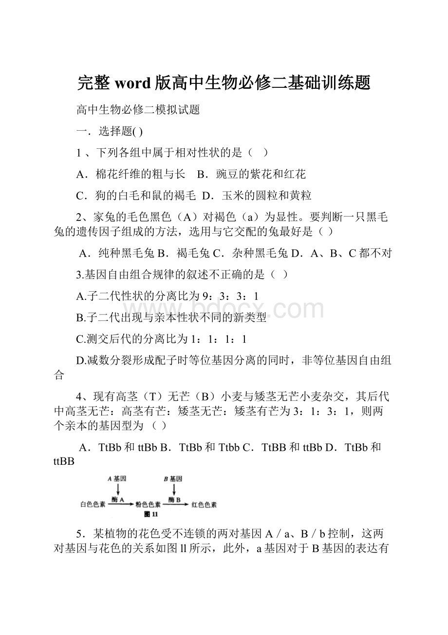 完整word版高中生物必修二基础训练题.docx