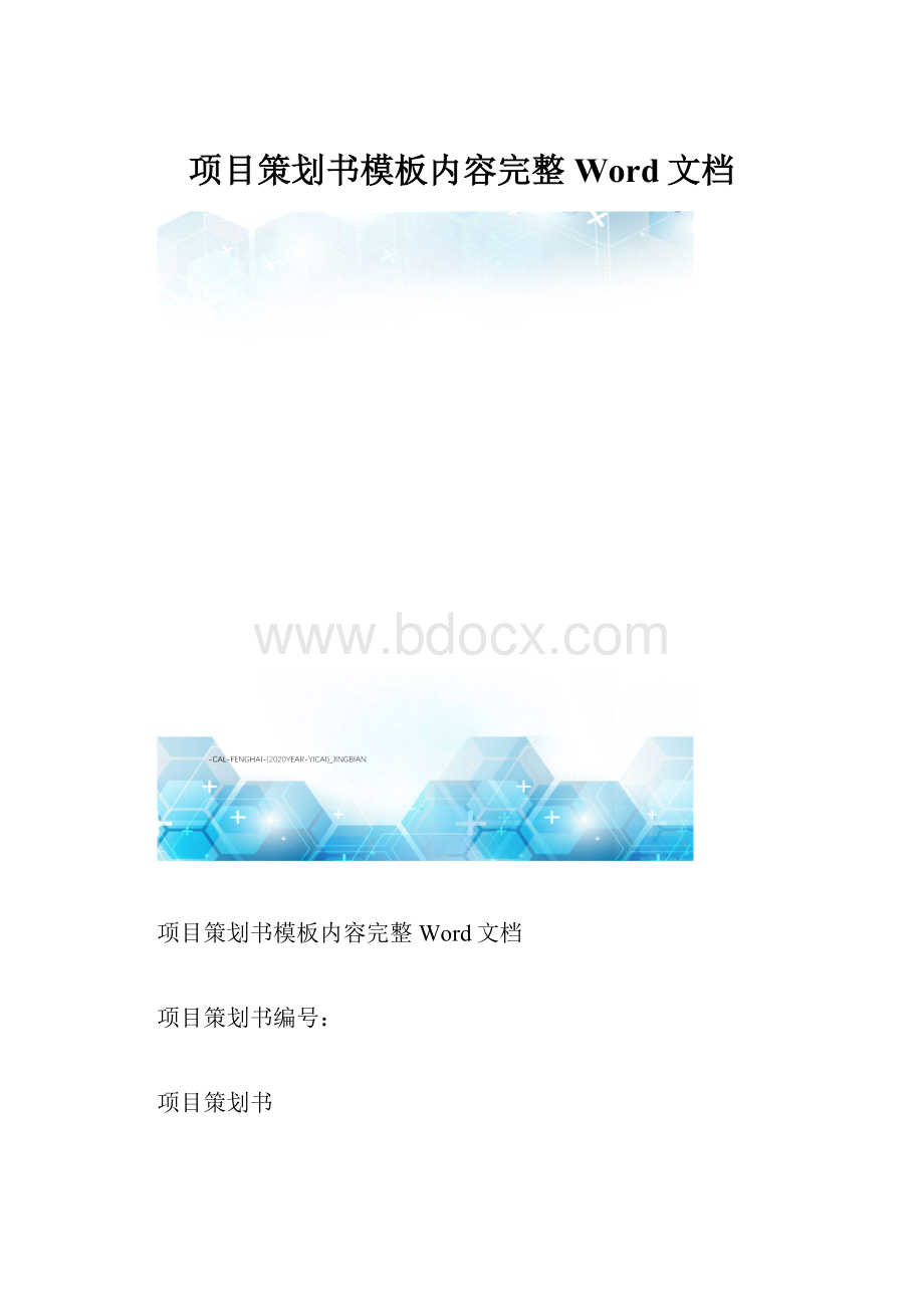 项目策划书模板内容完整Word文档.docx