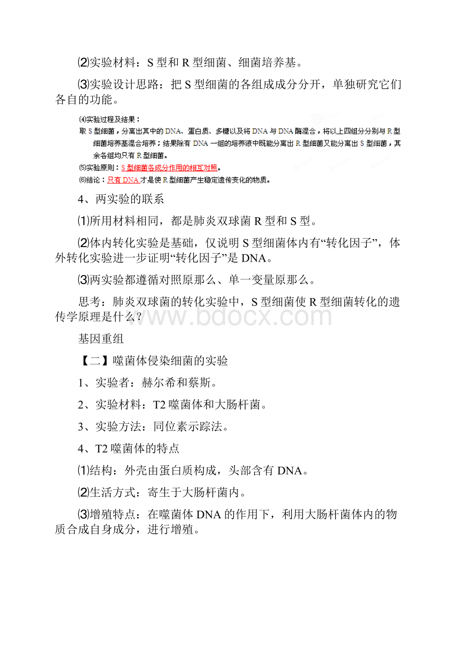 高考生物二轮练习精品学案专项18dna是主要的遗传物质师版.docx_第2页