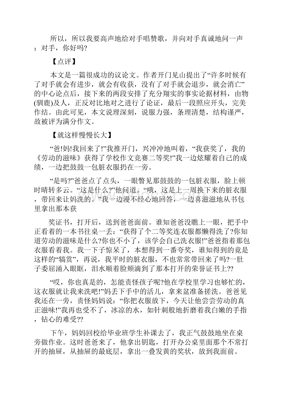 评语大全之中考优秀作文及评语.docx_第2页