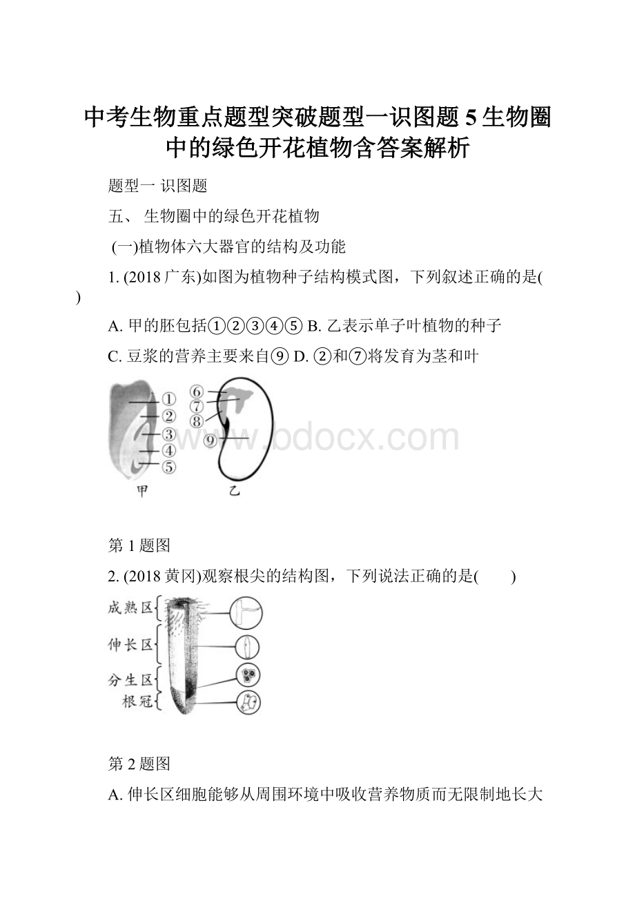 中考生物重点题型突破题型一识图题5生物圈中的绿色开花植物含答案解析.docx_第1页