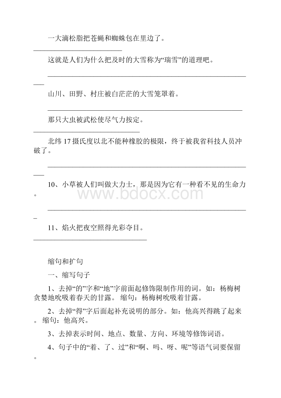 小学语文句型转换练习题集锦讲解.docx_第2页