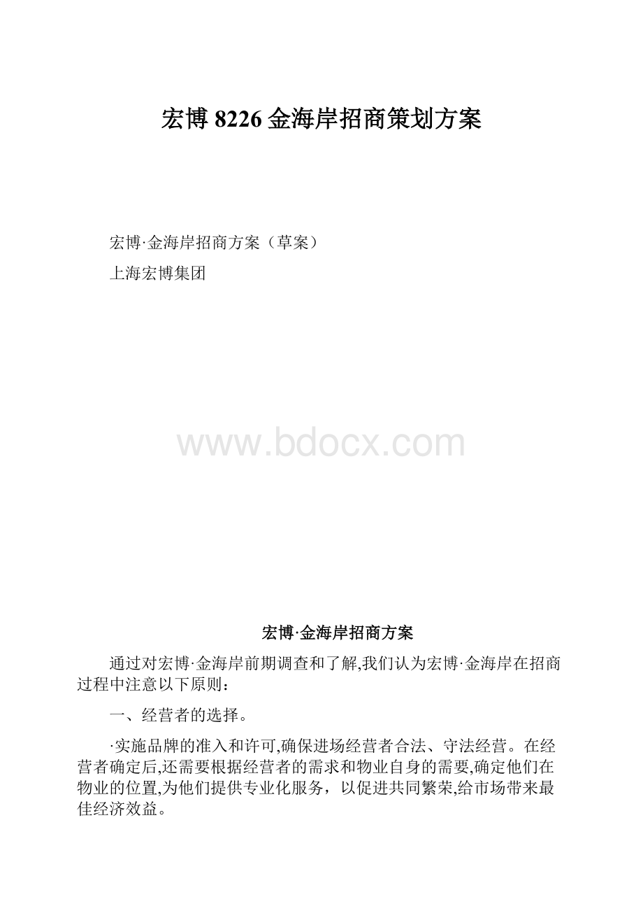 宏博8226金海岸招商策划方案.docx