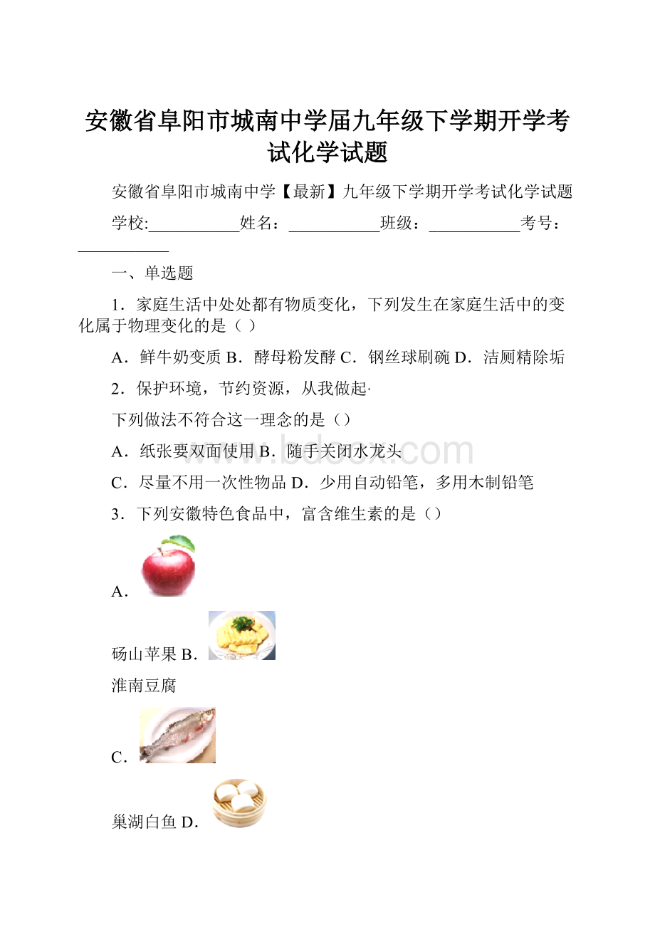 安徽省阜阳市城南中学届九年级下学期开学考试化学试题.docx_第1页