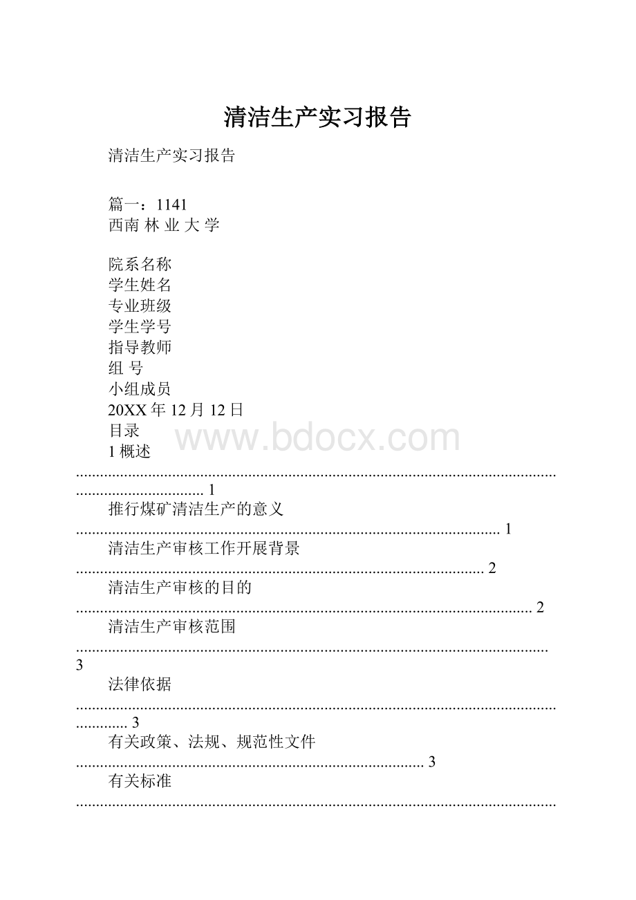 清洁生产实习报告.docx_第1页