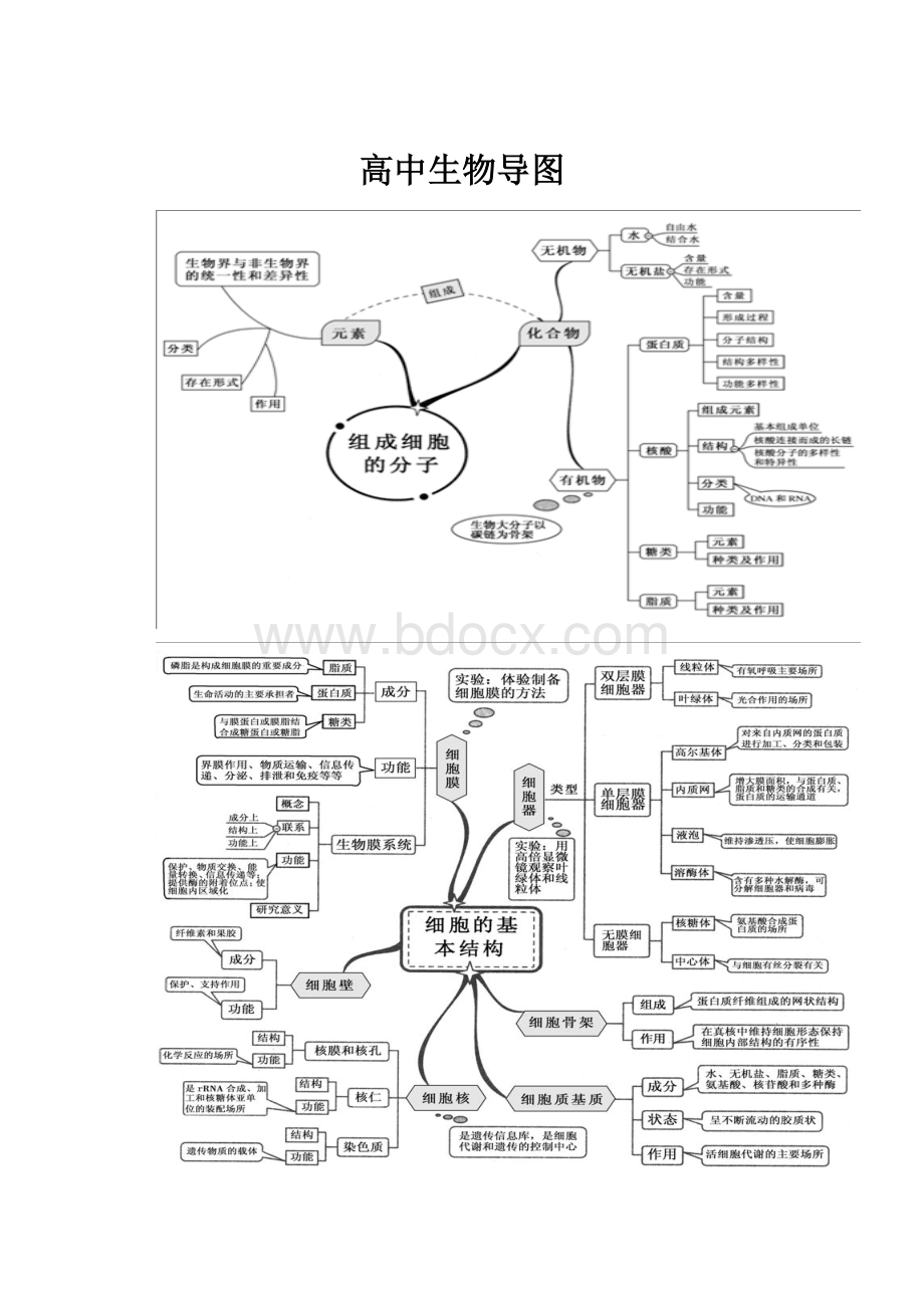 高中生物导图.docx