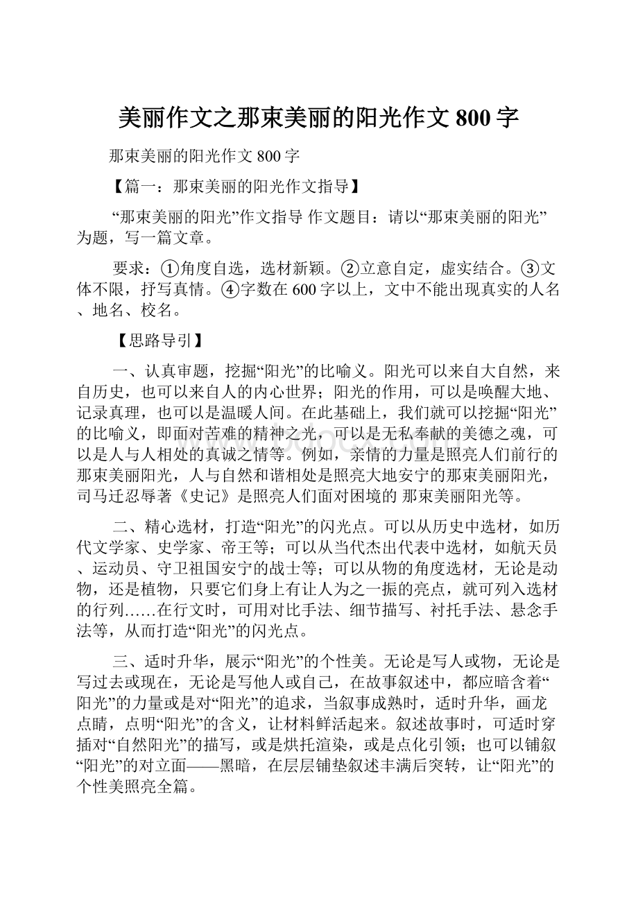 美丽作文之那束美丽的阳光作文800字.docx