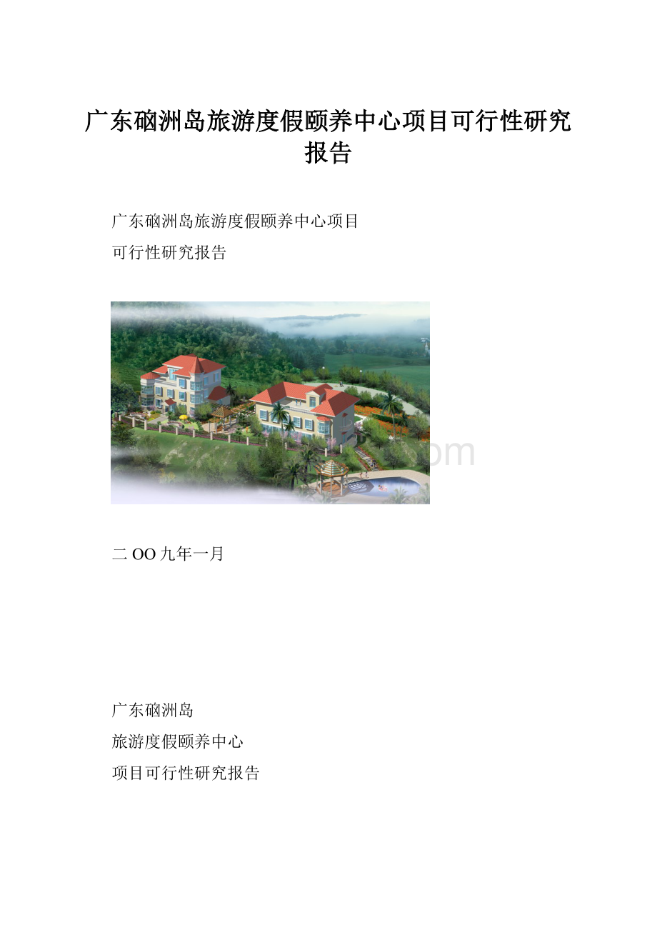 广东硇洲岛旅游度假颐养中心项目可行性研究报告.docx