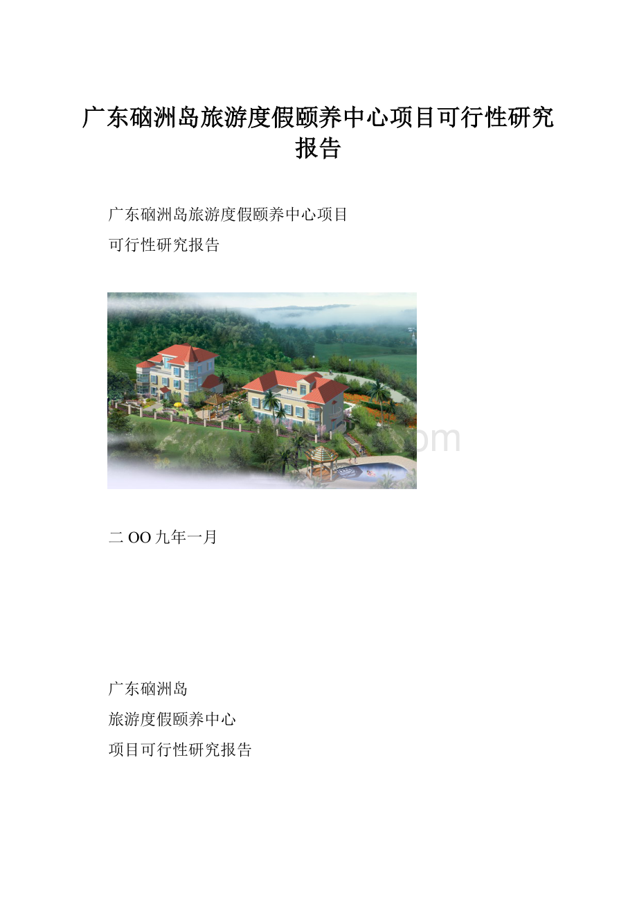 广东硇洲岛旅游度假颐养中心项目可行性研究报告.docx_第1页