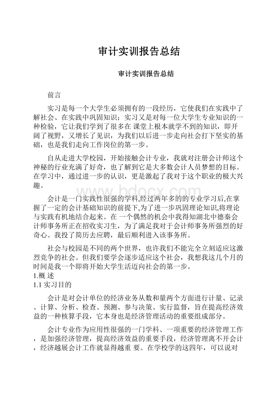 审计实训报告总结.docx