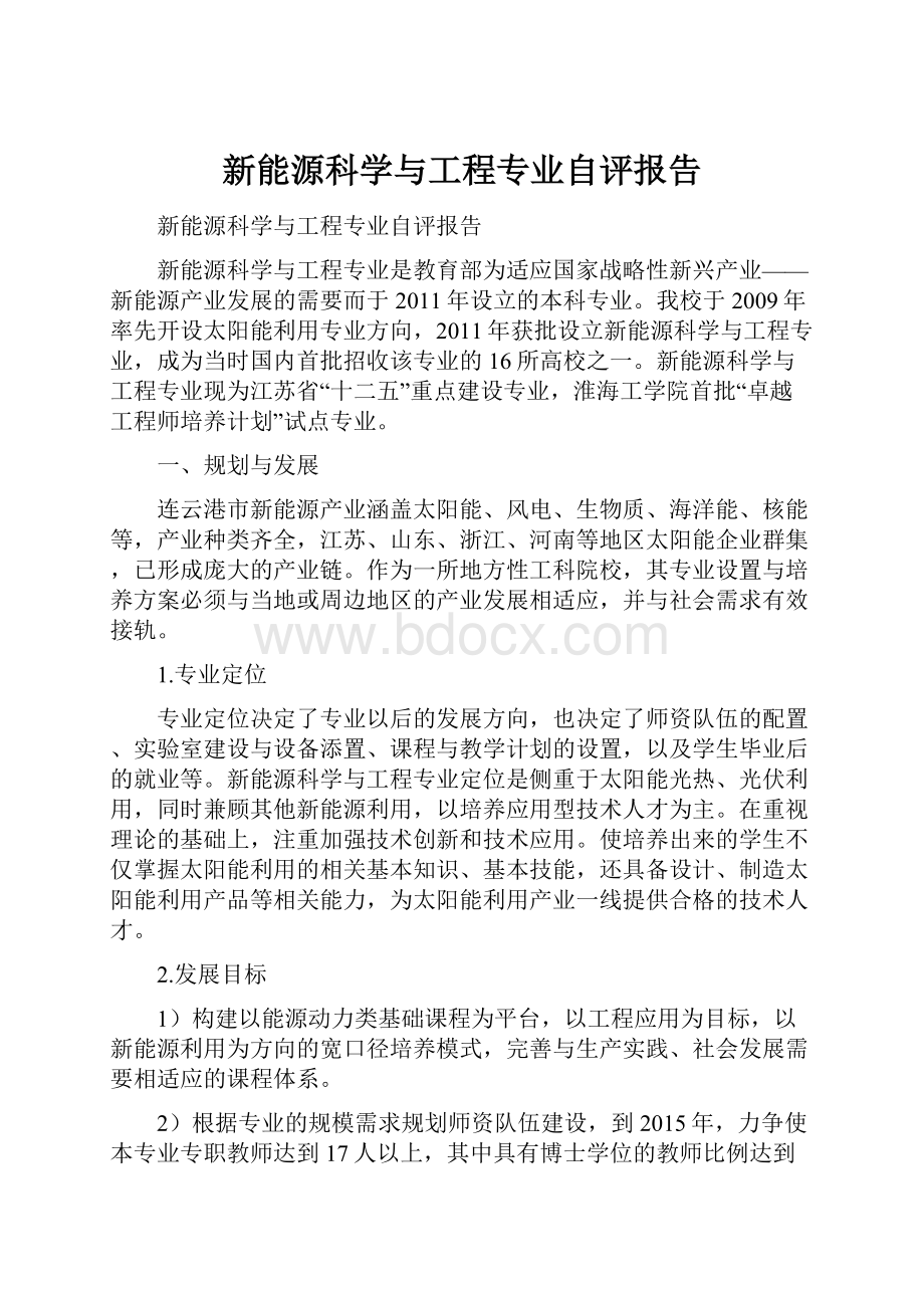 新能源科学与工程专业自评报告.docx_第1页