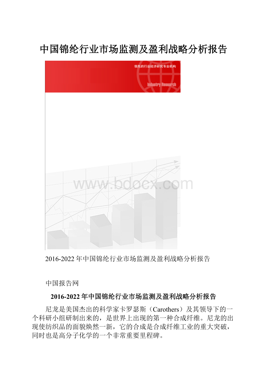 中国锦纶行业市场监测及盈利战略分析报告.docx