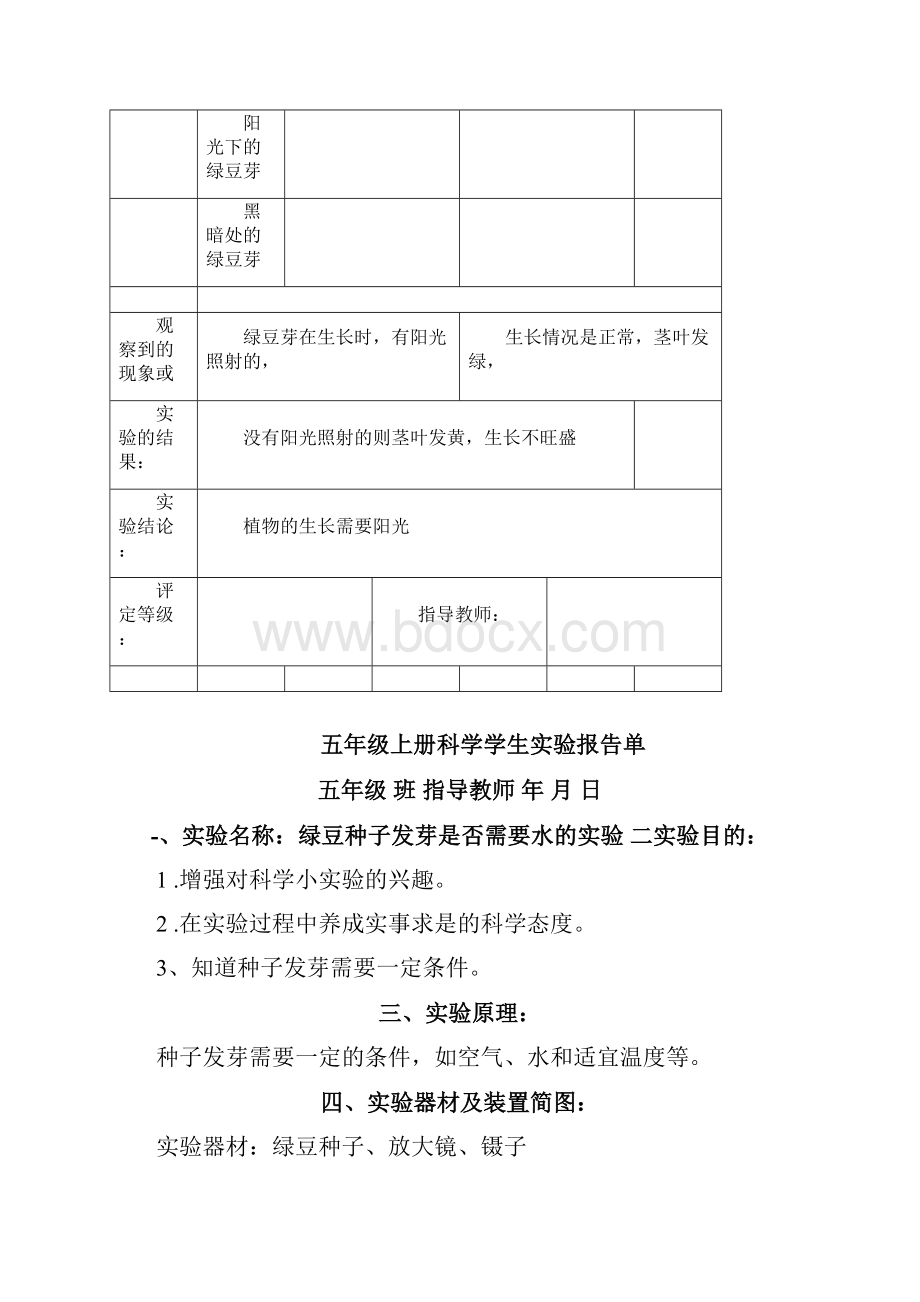 教科版五年级上册科学实验报告单.docx_第3页