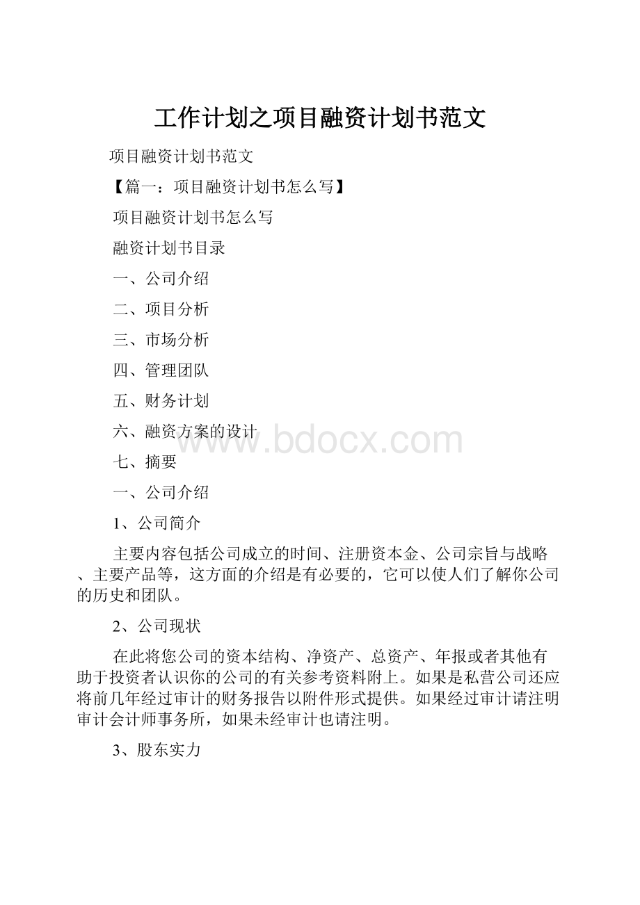 工作计划之项目融资计划书范文.docx