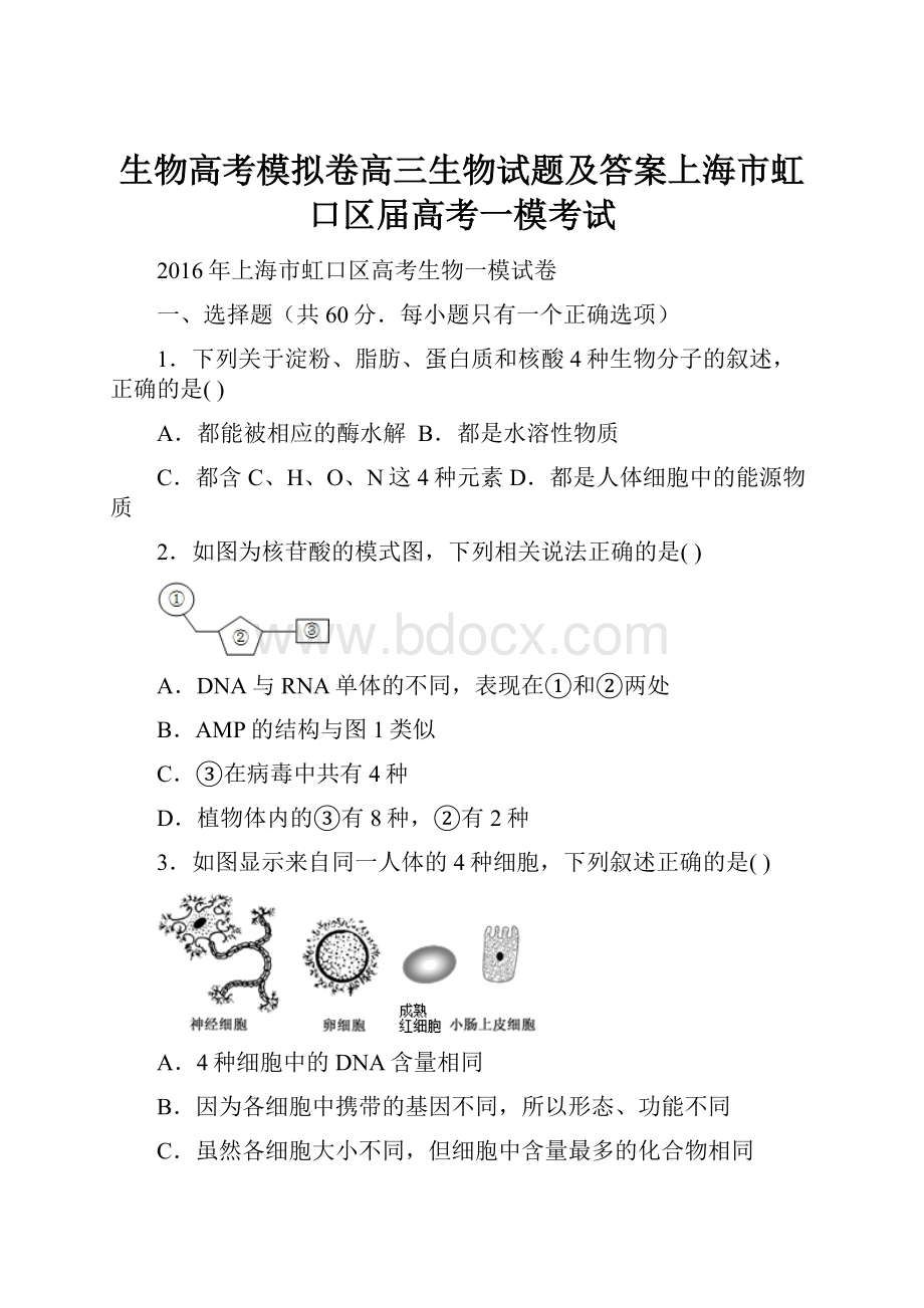 生物高考模拟卷高三生物试题及答案上海市虹口区届高考一模考试.docx_第1页