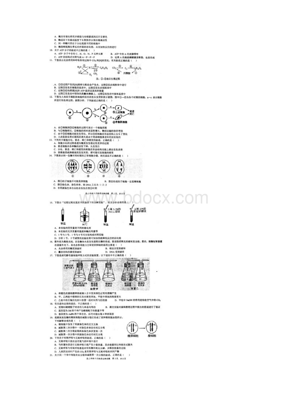 湖北省教学合作届高三月联考生物试题 扫描版含答案.docx_第2页