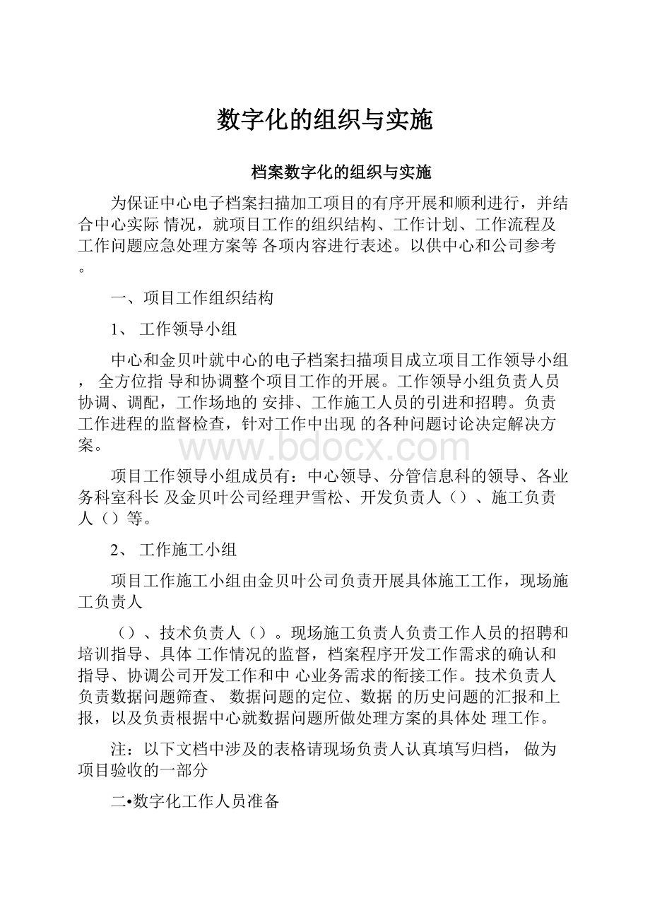 数字化的组织与实施.docx