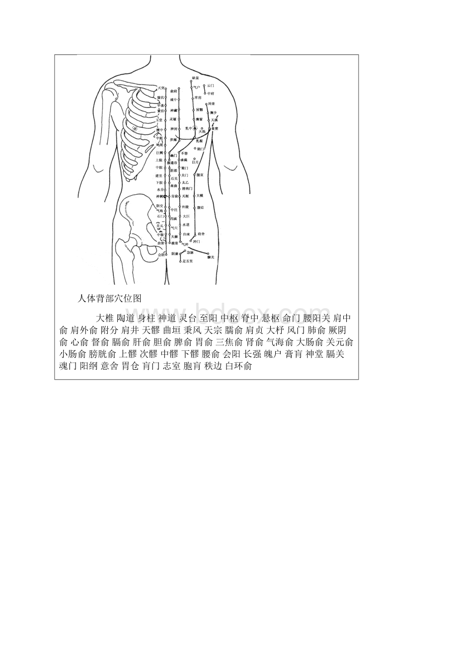 全身穴位图及按摩.docx_第3页