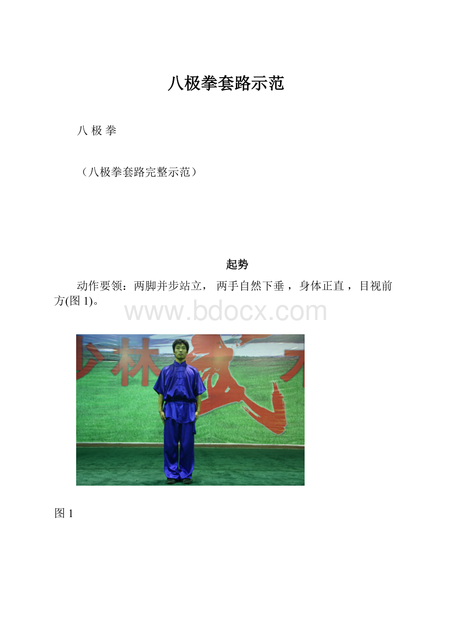 八极拳套路示范.docx