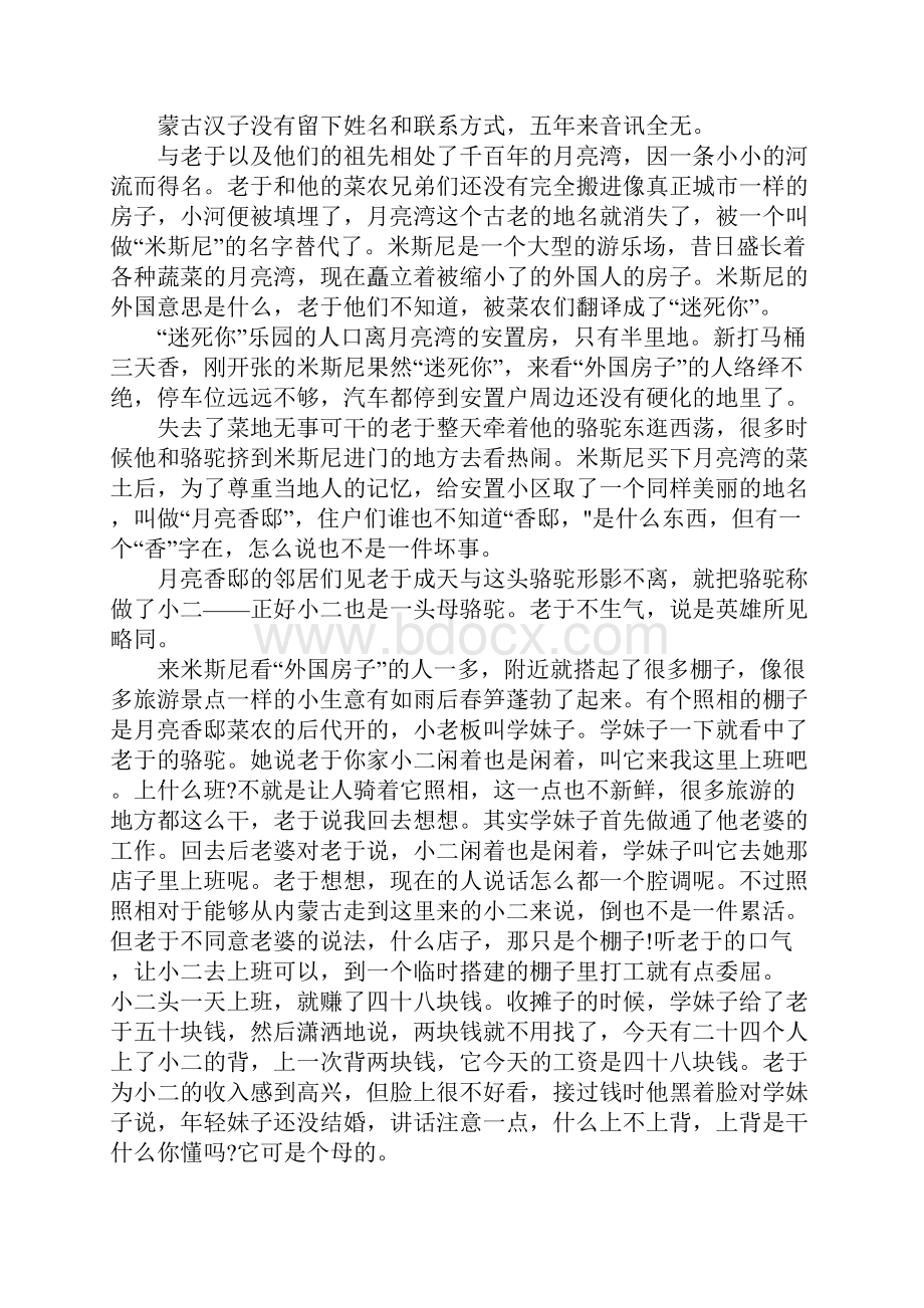 那城那人那骆驼.docx_第3页