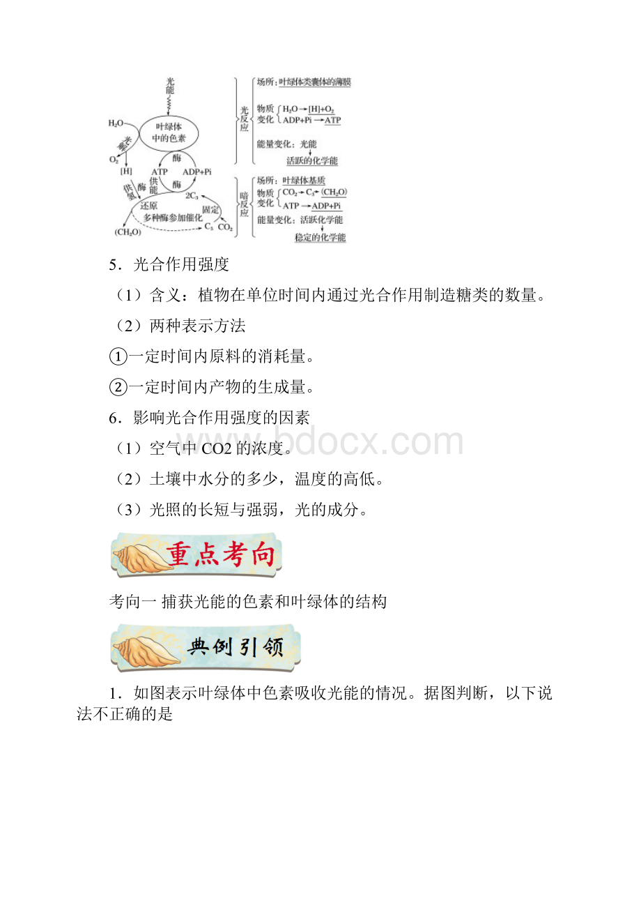 考点19 光合作用备战高考生物考点一遍过.docx_第3页