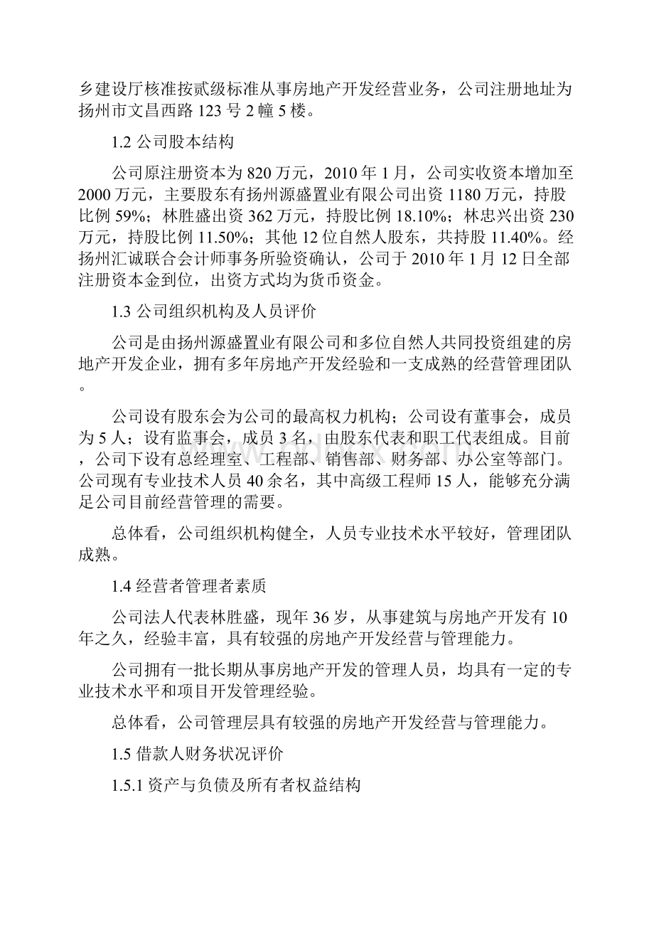 项目贷款评估报告.docx_第3页