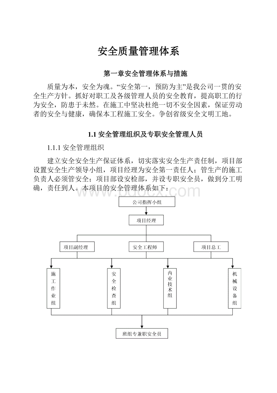 安全质量管理体系.docx_第1页