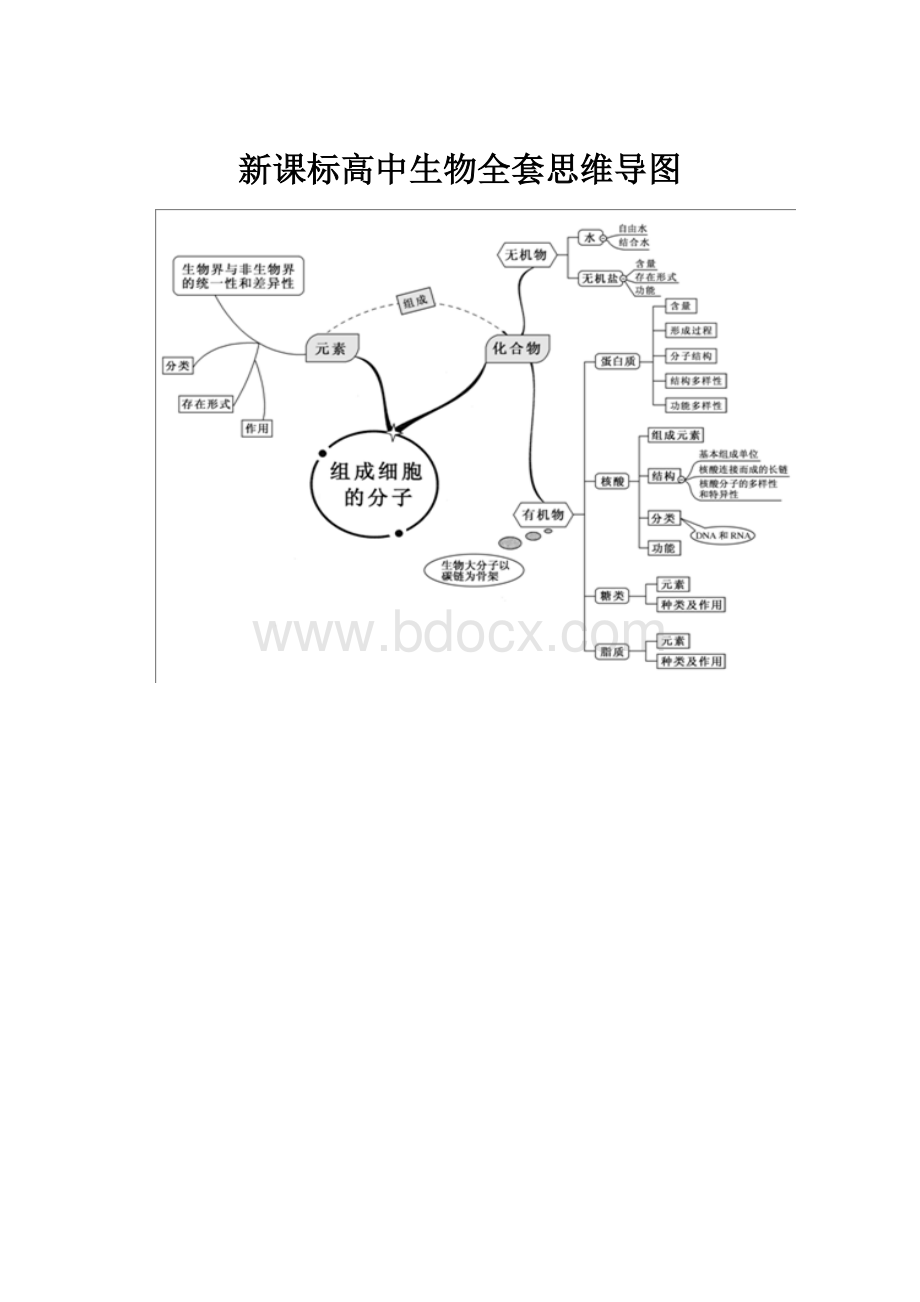 新课标高中生物全套思维导图.docx